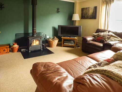 Apartment 4 Dolgoch Falls - image 7