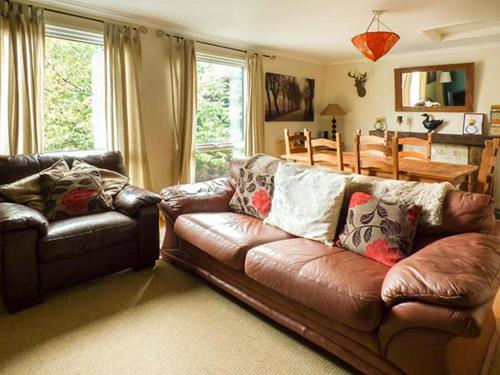 Apartment 4 Dolgoch Falls - image 10