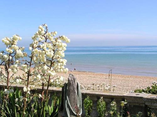 playa, Herbrand House in Bexhill