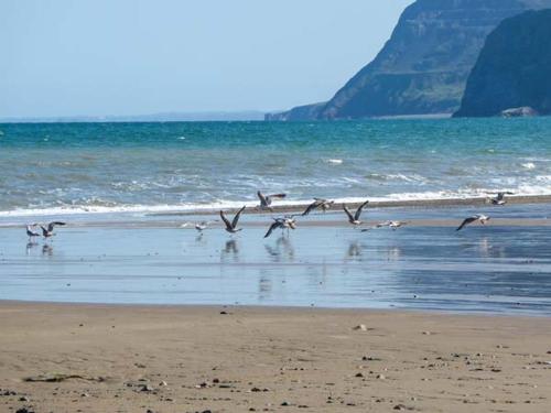 多尔福度假屋 多尔福度假屋