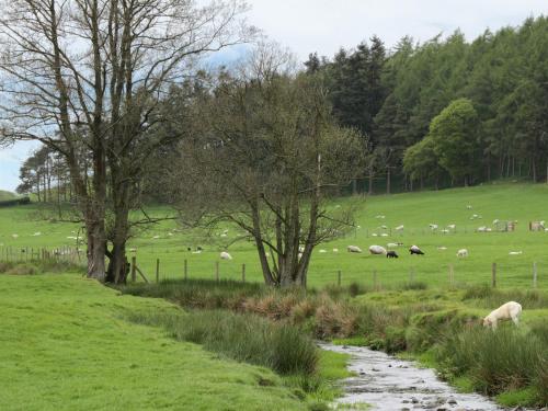 Hafan in Lanerfaila