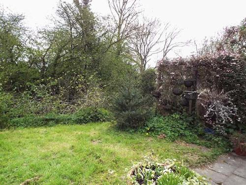 The Old Cider House - image 8