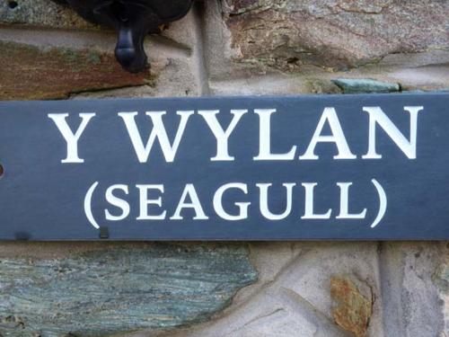 Y Wylan - image 5
