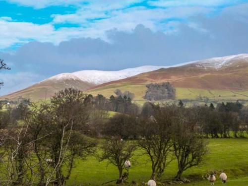 Fells Cottage in Sedbergh