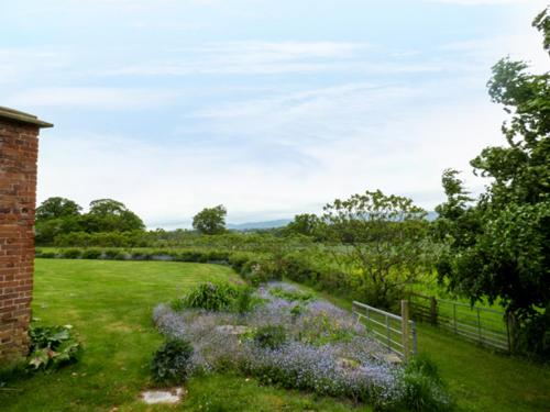 The Packing House - image 10