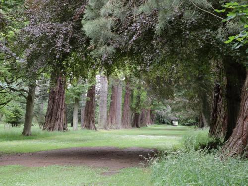 Housekeeper's Rooms - image 7