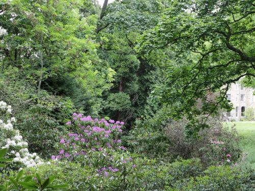 Housekeeper's Rooms - image 13