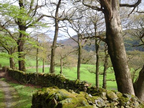 Knott Lodge in Sedbergh