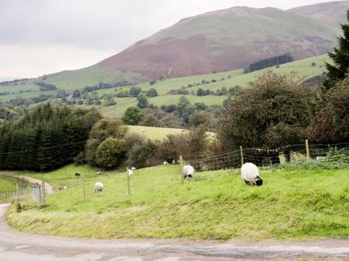 Knott Lodge in Sedbergh