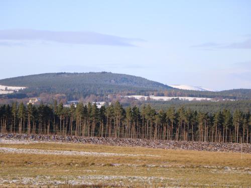 Corriemhor Beag in Контін
