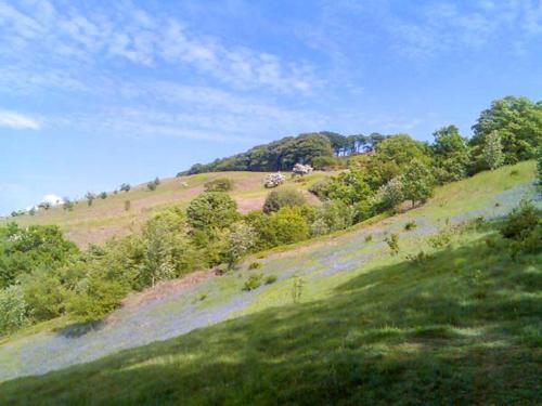 Squirrel Lodge Skipton - image 3