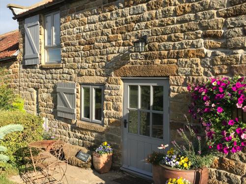 Honey Bee Cottage Scarborough - main image