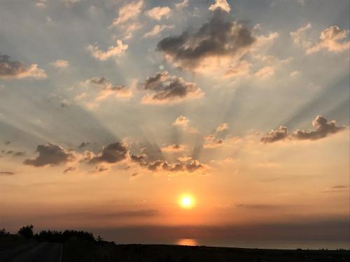 Swallow Cottage Scarborough - image 6