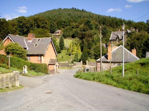 Tailor's Cottage Llandrindod Wells - image 4