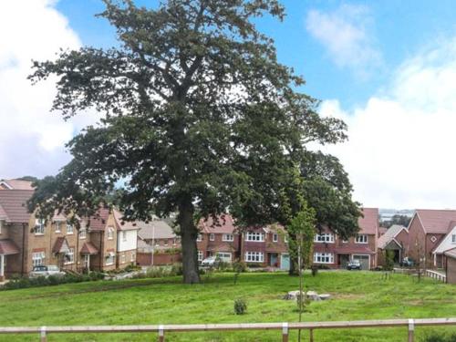 Woodside Bideford - image 2