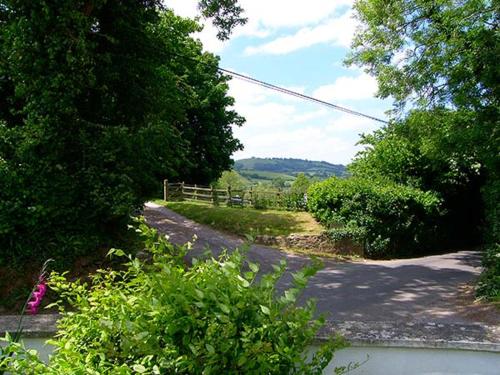 The Old Smithy in Beaminster