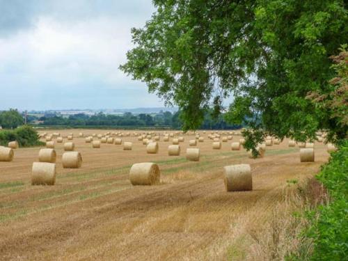 The Granary York - image 7
