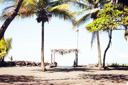 Coloso del Mar - image 5