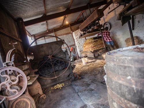 Mary's Cottage Ilfracombe - image 13
