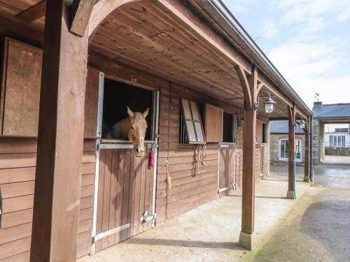 Dexter Penryn - main image