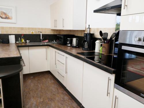 View The Gallery Okehampton - image 14