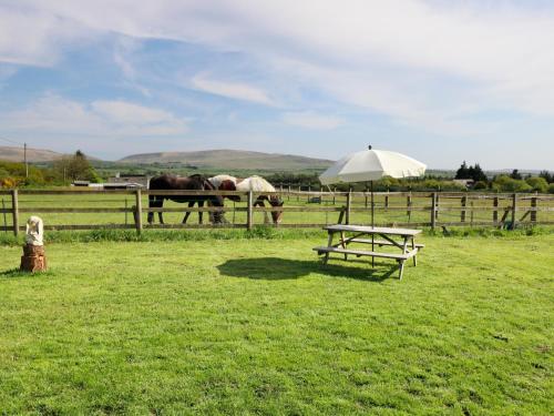 View The Gallery Okehampton - main image