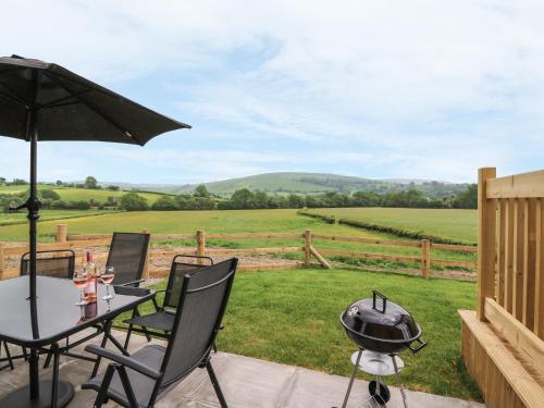 Pentre Fawr Llandrindod Wells - image 6