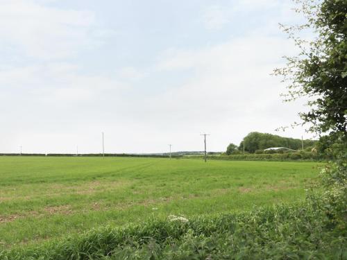 Fieldside Filey - image 13