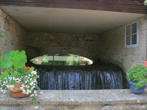 Lime Tree BURFORD - image 10