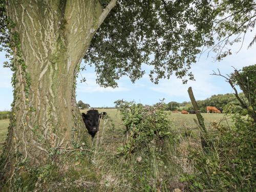 1 Leesrigg Cottages Wigton - image 3