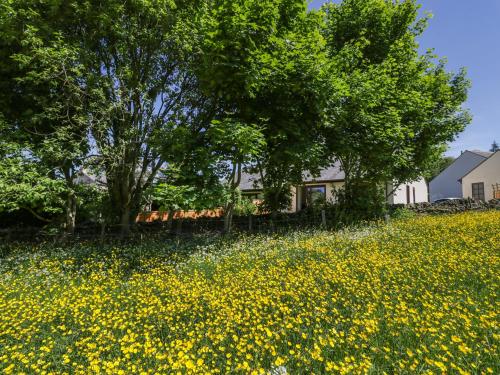 Buttercup Cottage Hexham - image 12