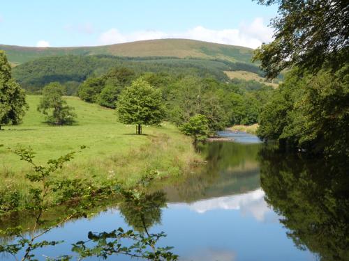 Deer Lodge Blackburn - image 13