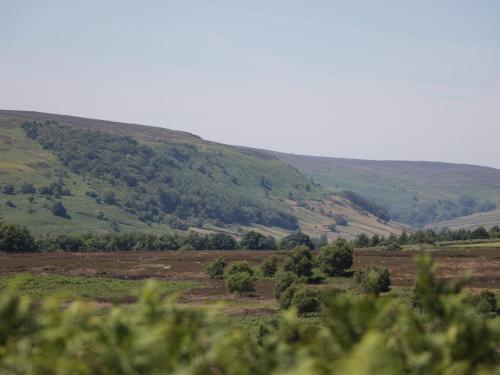 Rose Cottage in Edstone
