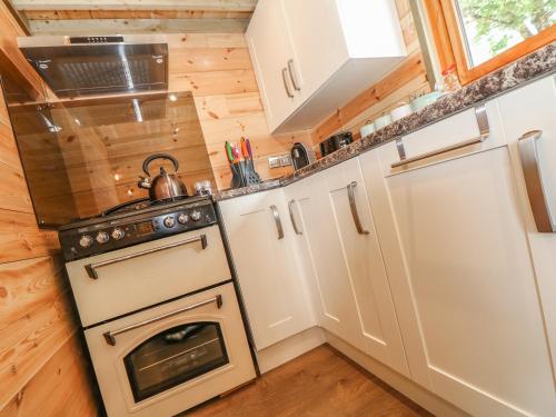 Tamar Lodge Saltash - image 11