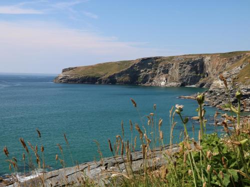 Gull Rock Tintagel - image 13