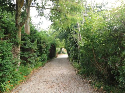 Little Pippin St. Austell - image 10