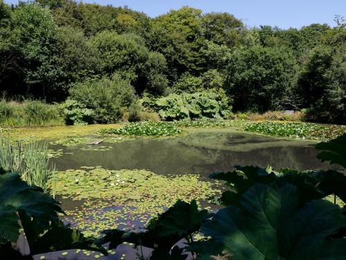 Jane's Place Launceston - image 11