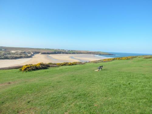 Fistral Surf Newquay - image 7