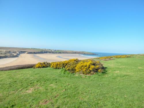 Fistral Surf Newquay - image 2