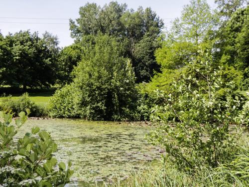 Apple Tree Lodge in Milton on Stour