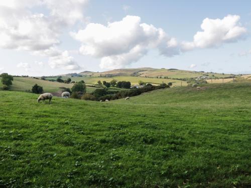 Garth Cottage Denbigh - image 14