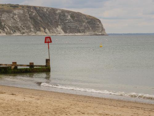 The Compass Swanage - image 3
