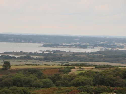 The Compass Swanage - image 11