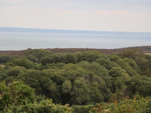 The Compass Swanage - image 2
