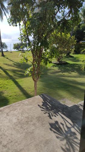 Garden, Aloha in Oslob