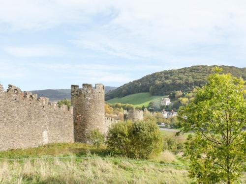 Riverside Cottage Conwy - image 10