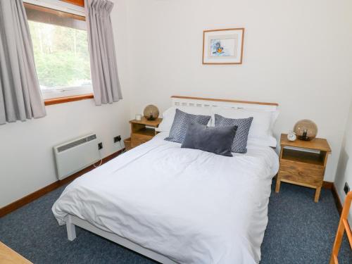 Kestrel Lodge Dumfries - image 9