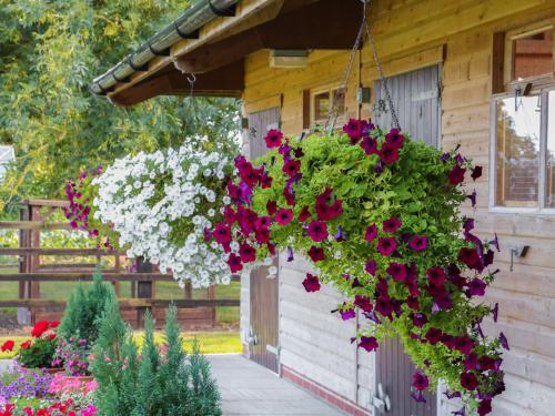 Owl's Roost in ออลโฟรด