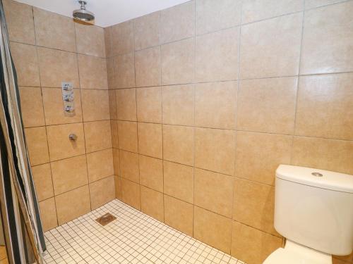 Blue Anchor - image 9