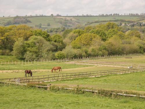 Sunnyside Lodge in Crewkerne
